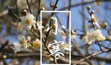 小寒节气早安心语 暖心问候语