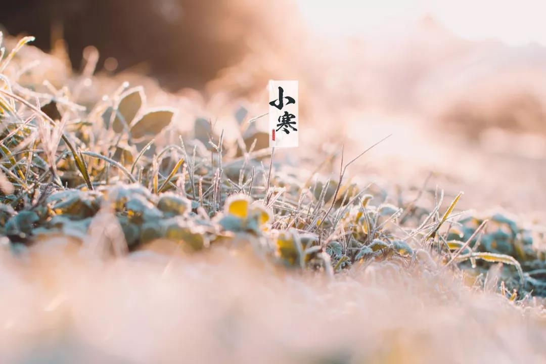 而且经常招待，软芳是合理的，充满醉酒。