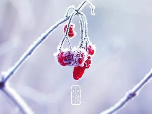小冷诗古诗