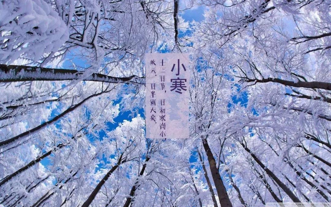 小寒冷假日消息祝福