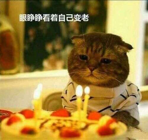 22.今天是我的农历生日，呵呵，农历仍然是两个月，呵呵，呵呵，呵呵，我总是想说我一岁，现在我喜欢我的生日。这是一岁。