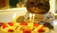 生日文案朋友圈搞笑