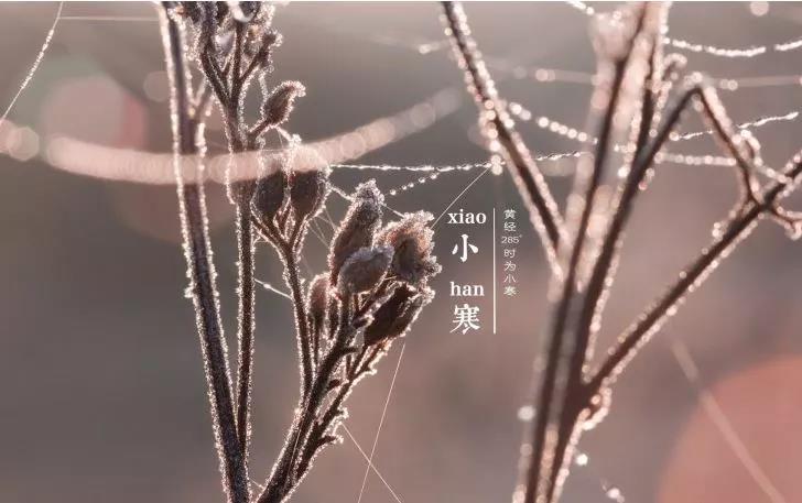 小山祝福1