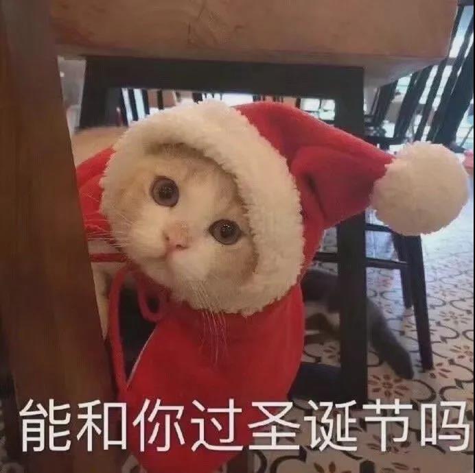 17，我是圣诞节，我可以寄给我一个苹果吗？我在说256克