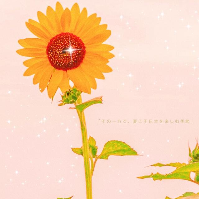 适合高质量的商务刑期