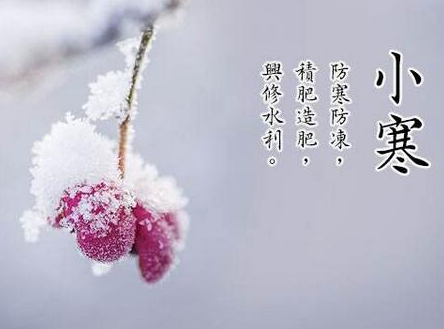 24，梅花，盛开的幸福脸;飞雪，漂移，冲云;冬天明亮，温暖的孤独的心;祝福，明天带来更美好。萧扬在这里，我希望你的心就像春天，快乐和永远！