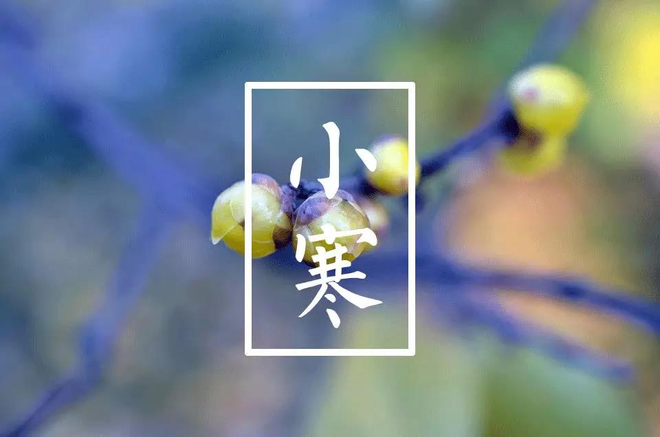 小玉奇美丽的小寒冷头环图片