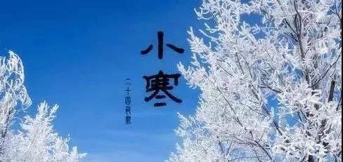 小燕奇美丽的图片小冷发圈句子1
