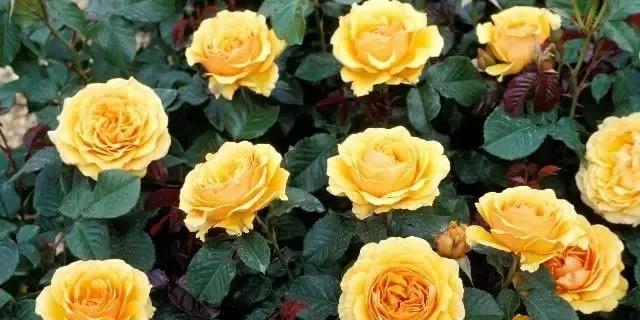 深层哲学审美短句