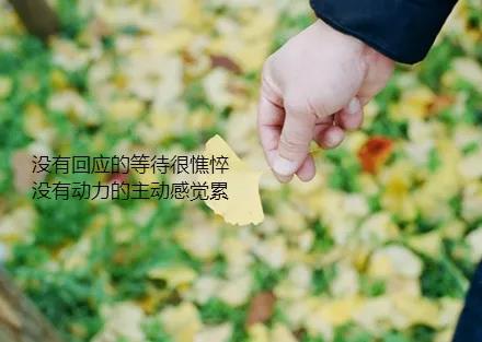 适当的短句