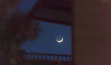 有付出就会有收获