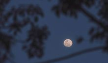 鼓励朋友前行的句子