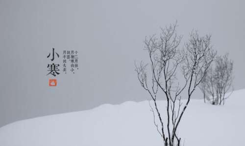 小冷毛圈句