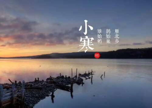 小汉伟蒂说