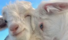 2021秀恩爱专用的情侣甜蜜签名