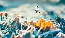 小寒得心情说说句子