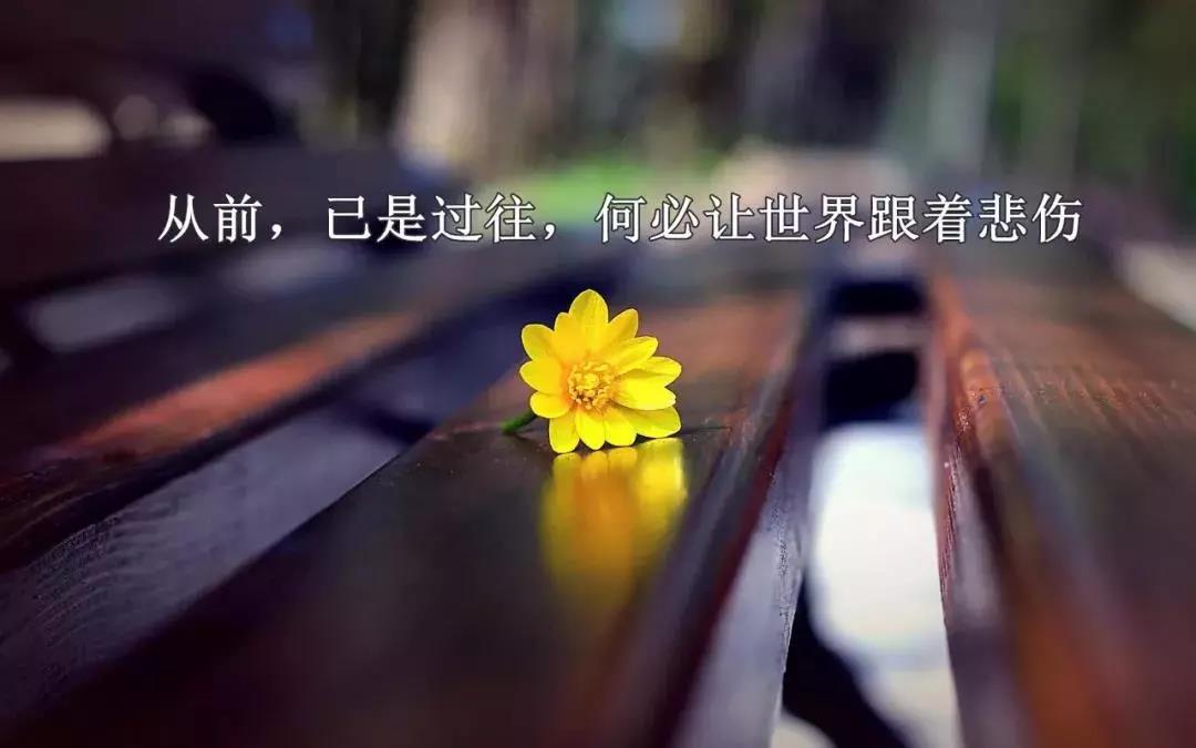 愿彼此珍惜的经典话语