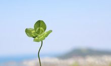 冬季天冷却让你感到很幸福的句子