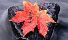 高兴的朋友圈的说说