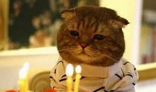 5月20日晒朋友圈的搞笑说说