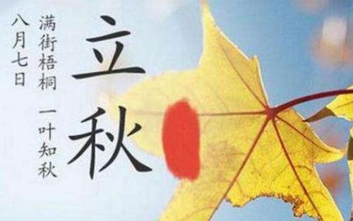朋友圈