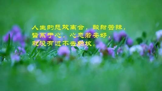 2020年夫妇经典报价