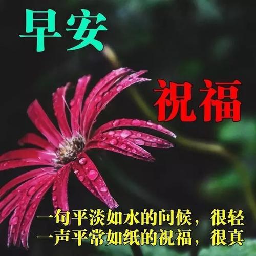 美丽的判决2020.
