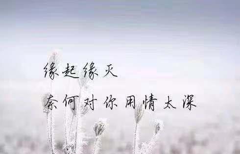 关于无法睡觉的说法