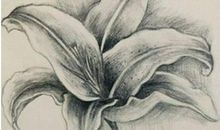 友情破裂的句子的原因英文