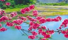 再好的友情也会变淡的短句子