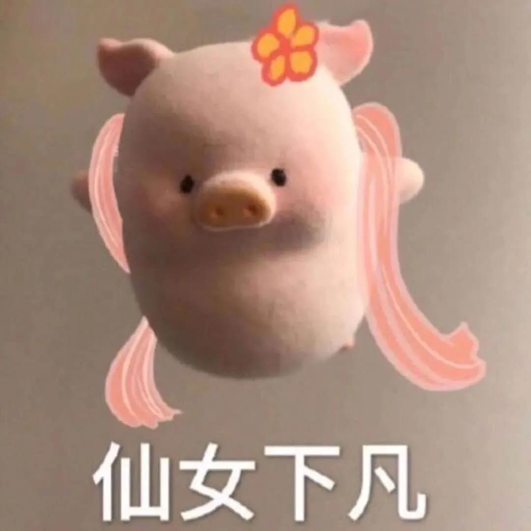 30，我一直忙着可爱，忙着成长，忙着盲目，忙着养。