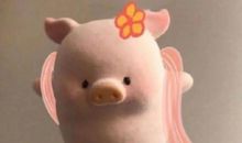 搞笑沙雕朋友圈文案