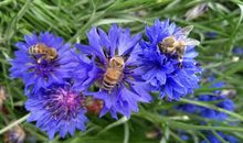 感慨青春友情的句子