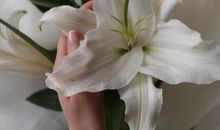 适合过年发朋友圈的文案