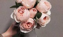 描写家人真挚友情的句子