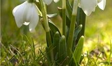 关于友情暗淡回忆健在的句子