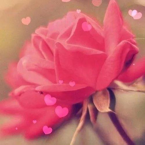 描述友谊的句子1