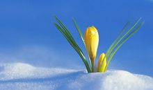 抖音暖心的友情句子简短