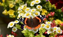 朋友圈发照片见证友情的句子