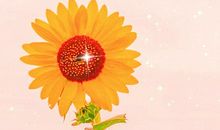 惊艳阅卷老师的句子