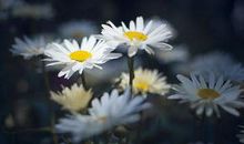 因为手机而忽略友情的句子