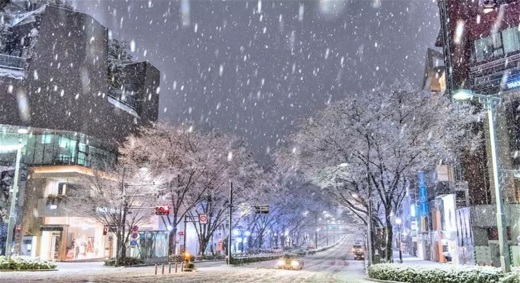 摇动最美丽的雪包