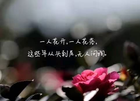 累了好句子