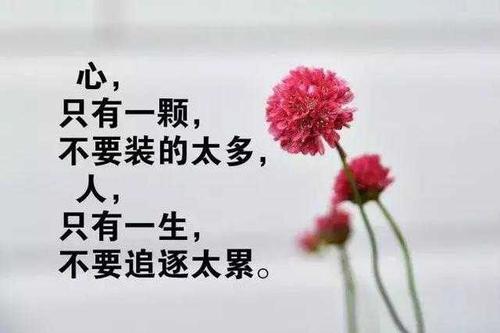 生活感觉真实的句子