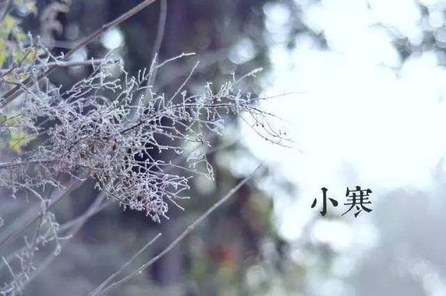 另一年冷判决1