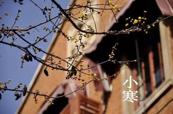 32.顽皮的北风吹口哨，想要吹雪外套，想要吹掉雪被子。天空是多云的，一个瓷砖灰色，就像一个雪的外观。