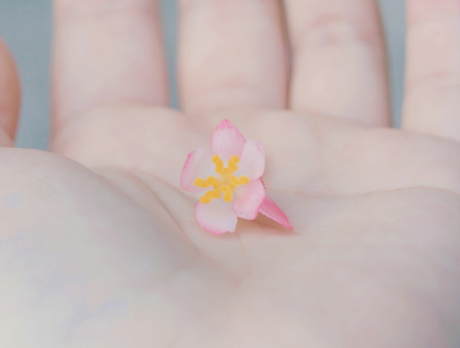 祝福声明最短