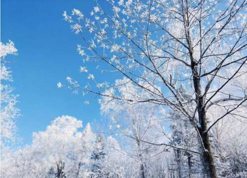 朋友圈雪景