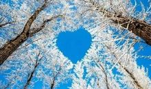 关于雪景的优美句子