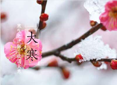 绿色时间节诗1